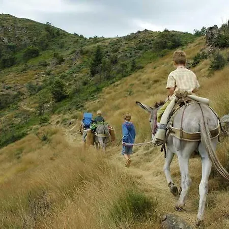 D'etape Et Meubles La Butte Aux Oiseaux *