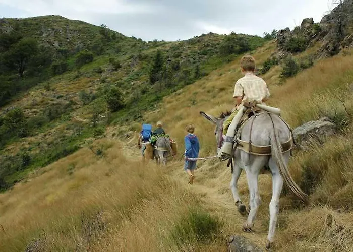 D'etape Et Meubles La Butte Aux Oiseaux *
